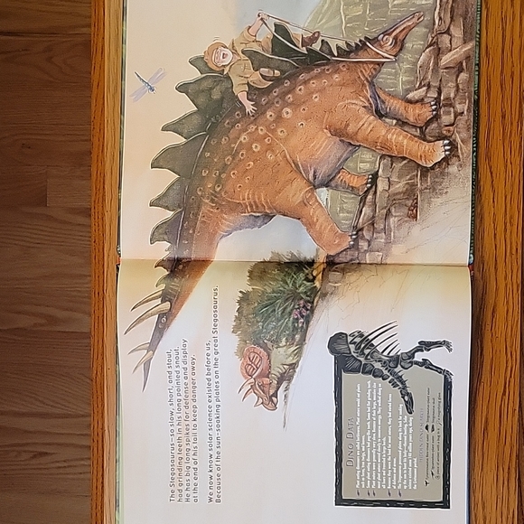 ● Kid's Book: "Hidden Dinosaurs" | EUC - Picture 15 of 16